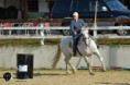 /album/zavody-working-equitation-borova-26-8-2018/dsc-4595-jpg/