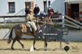 /album/zavody-working-equitation-borova-26-8-2018/dsc-4713-jpg/