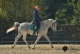 /album/doudleby-10-10-2022/dsc-1046-jpg/