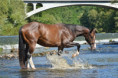 /album/doudleby-leto-2024/dsc-0023-jpg/